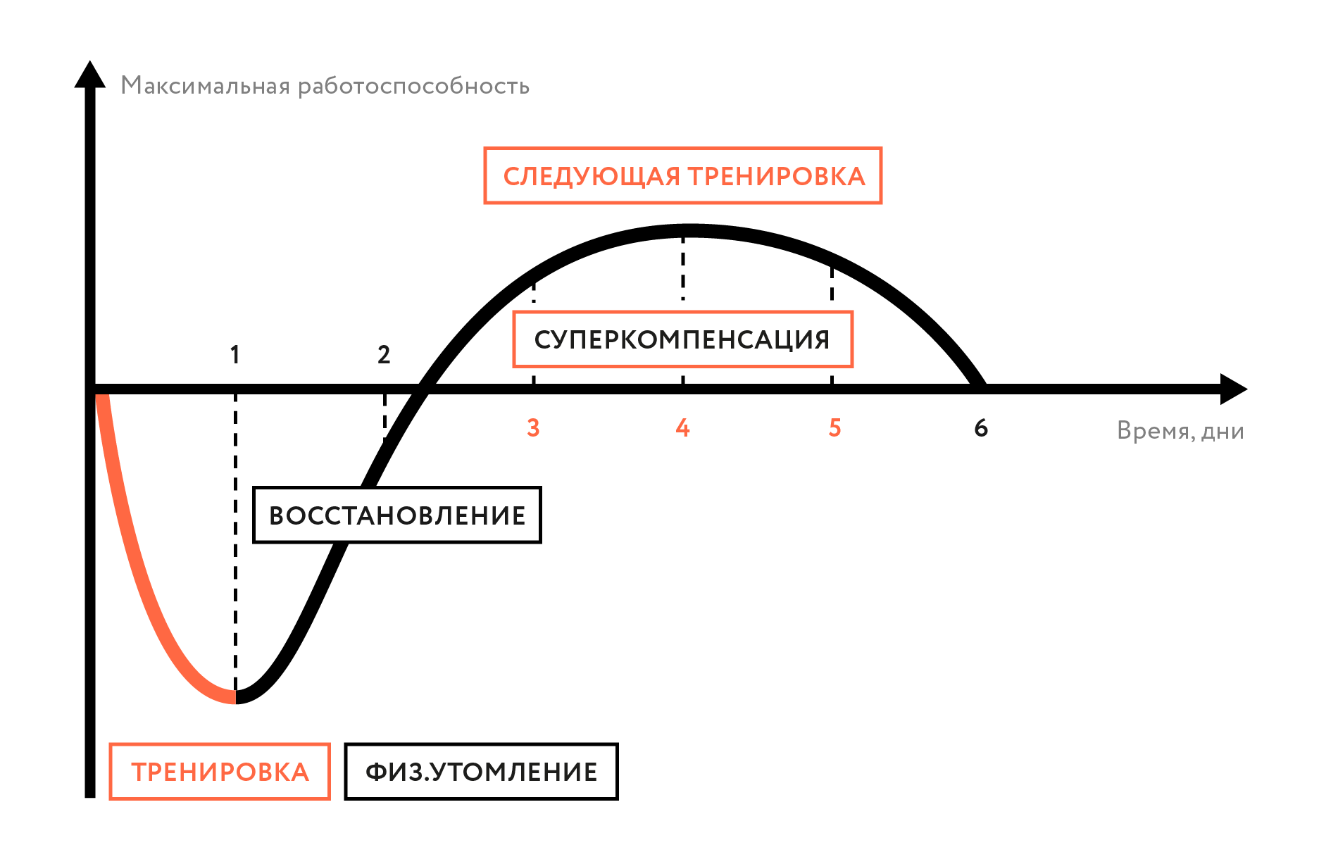 Движение - жизнь. Природосообразность двигательной активности человека Движение - жизнь. Природосообразность двигательной активности человека