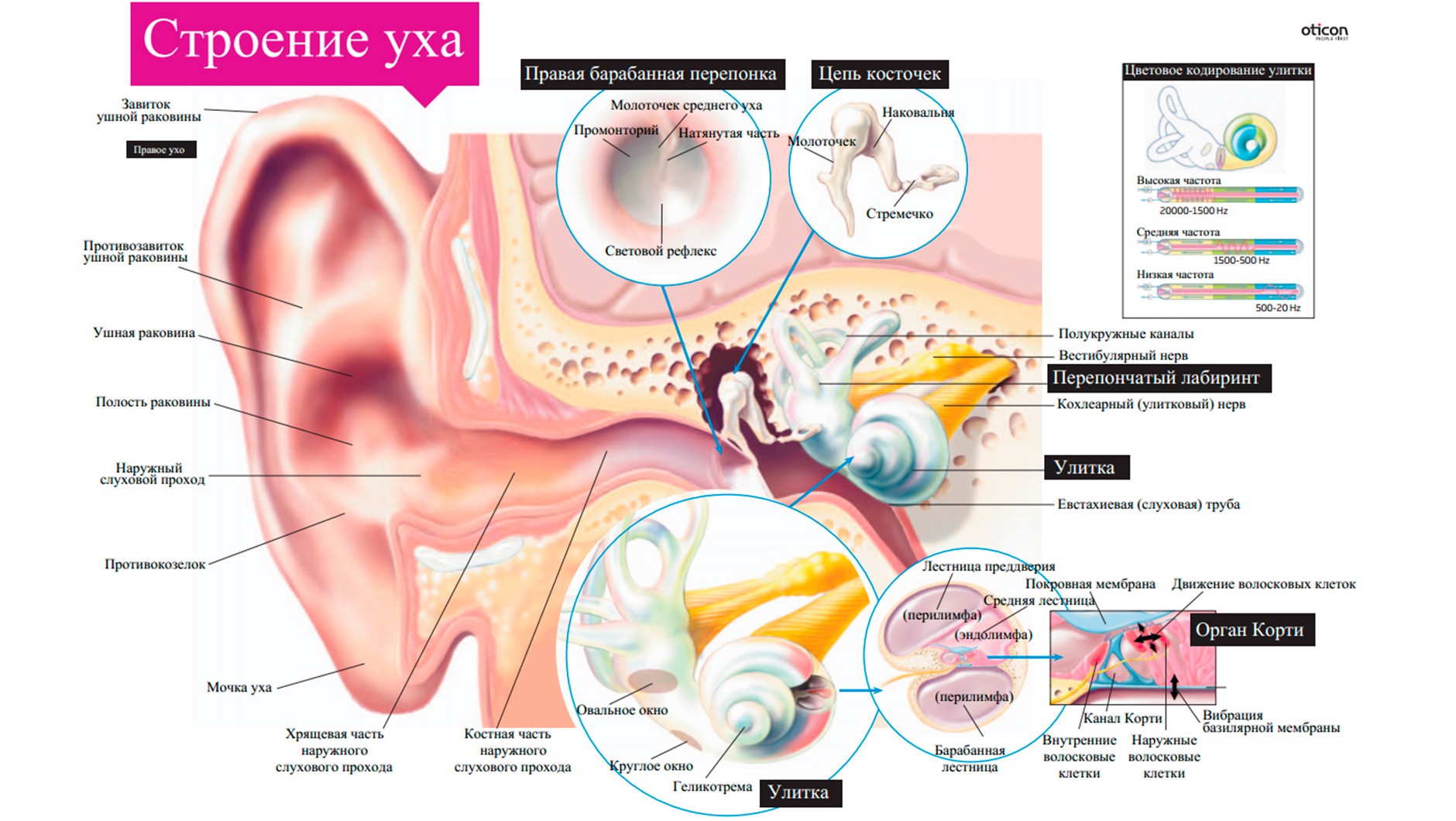 Искусственно созданный мир - биологический аватар как основа жизни Искусственно созданный мир - биологический аватар как основа жизни