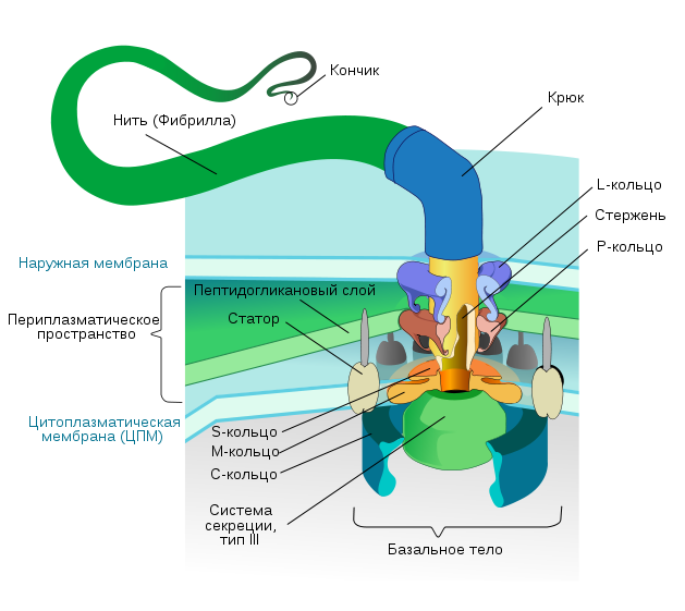 Искусственно созданный мир - биологический аватар как основа жизни Искусственно созданный мир - биологический аватар как основа жизни