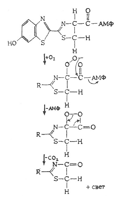 Искусственно созданный мир - биологический аватар как основа жизни Искусственно созданный мир - биологический аватар как основа жизни