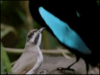 Искусственно созданный мир - биологический аватар как основа жизни Искусственно созданный мир - биологический аватар как основа жизни