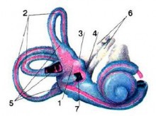 Искусственно созданный мир - биологический аватар как основа жизни Искусственно созданный мир - биологический аватар как основа жизни