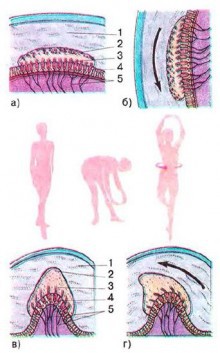 Искусственно созданный мир - биологический аватар как основа жизни Искусственно созданный мир - биологический аватар как основа жизни