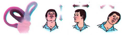 Искусственно созданный мир - биологический аватар как основа жизни Искусственно созданный мир - биологический аватар как основа жизни