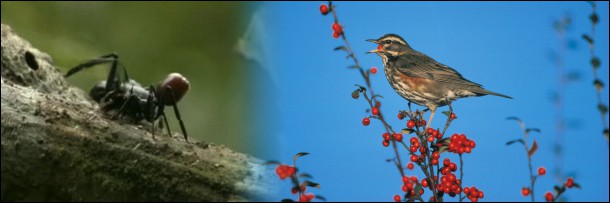 Искусственно созданный мир - биологический аватар как основа жизни Искусственно созданный мир - биологический аватар как основа жизни