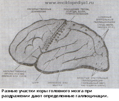 Искусственно созданный мир - биологический аватар как основа жизни Искусственно созданный мир - биологический аватар как основа жизни