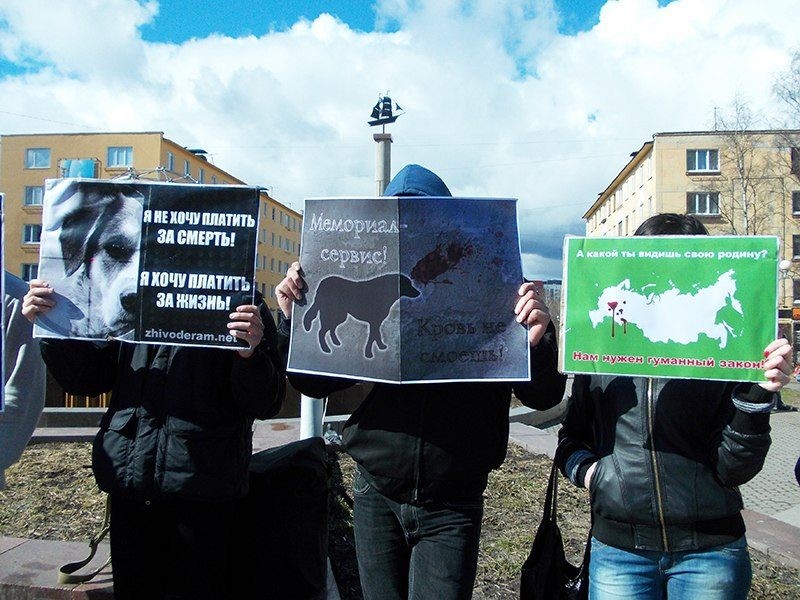 Митинг против жестокого обращения с животными проведут в Волгограде 2 ноября 2019 года