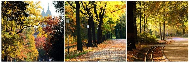 Бесплатные удовольствия от жизни, которые многие не замечают Бесплатные удовольствия от жизни, которые многие не замечают