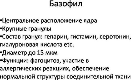 Базофилы повышены у ребёнка: 2 причины, 2 способа определения, норма базофилов в крови Базофилы повышены у ребёнка: 2 причины, 2 способа определения, норма базофилов в крови