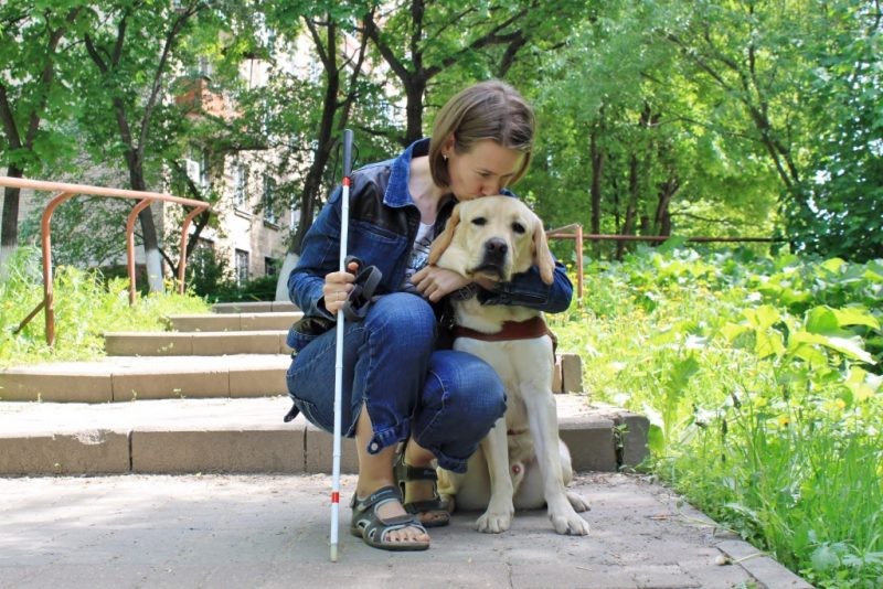 Слепота еще не приговор, а новый этап в жизни, особенно если рядом собака-проводник Слепота еще не приговор, а новый этап в жизни, особенно если рядом собака-проводник