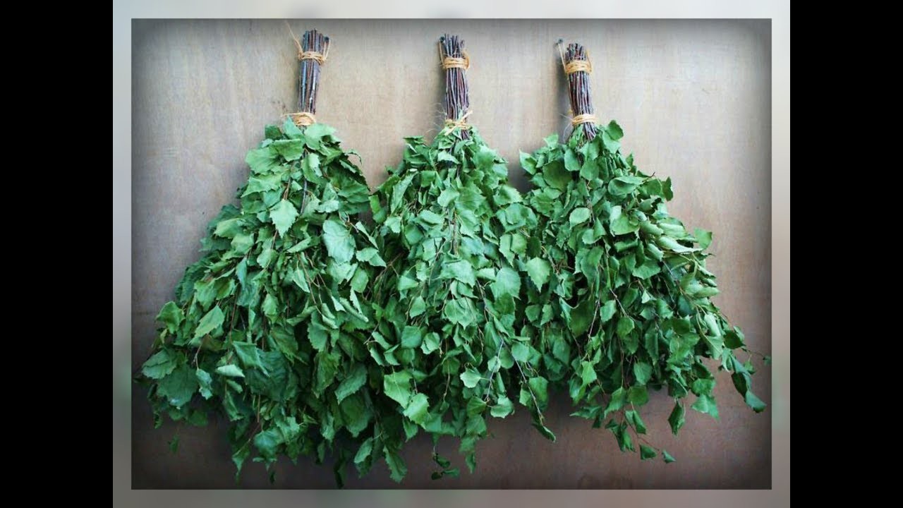 ТОП-8 способов обеспечить жизнь за счёт собирательства ТОП-8 способов обеспечить жизнь за счёт собирательства