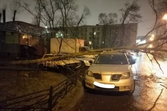Сильнейший ураган снес в Петербурге всё, что плохо держалось