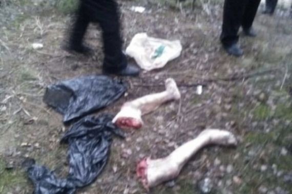 В Балахне возле кладбища обнаружены женские ноги, возбуждено уголовное дело