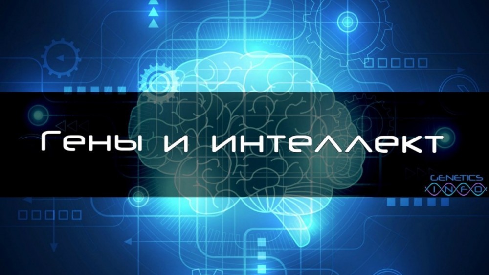 Что в реальности измеряют тесты IQ - коэффициента интеллекта?