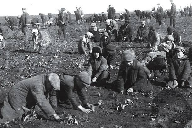 Как в СССР в 1947 году во время голода продавали зерно за границу Как в СССР в 1947 году во время голода продавали зерно за границу