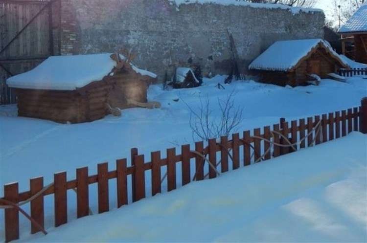 Стая лебедей, замерзающих на пруду, благополучно перезимовала, благодаря добрым людям Стая лебедей, замерзающих на пруду, благополучно перезимовала, благодаря добрым людям