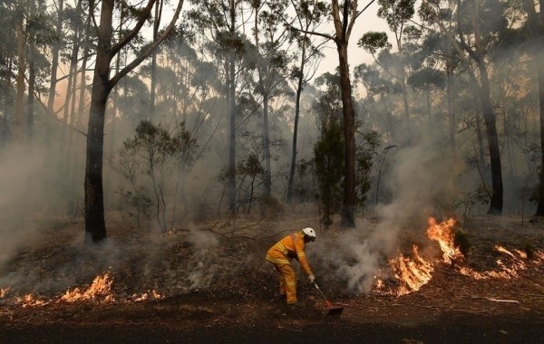 В Турции взяли под контроль все лесные пожары