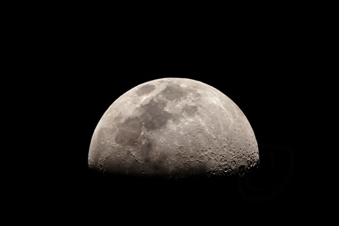 ТОП-10 нелепых мифов от науки