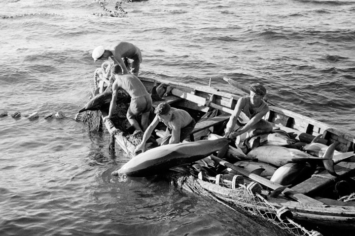 Как возникло Чёрное море и откуда пошло его название Как возникло Чёрное море и откуда пошло его название