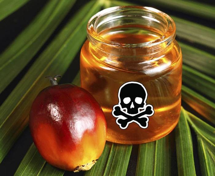 Вредно или полезно: врачи рассказали о плюсах и минусах пальмового масла для организма