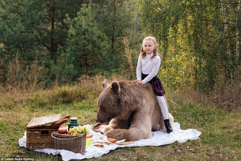 Американцы пришли в восторг от видеоролика с медведем Яшей из России