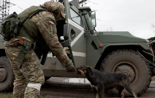 Представлены промежуточные итоги военной спецоперации России на Украине на сегодня, 26.04.2022: последние новости на текущий момент
