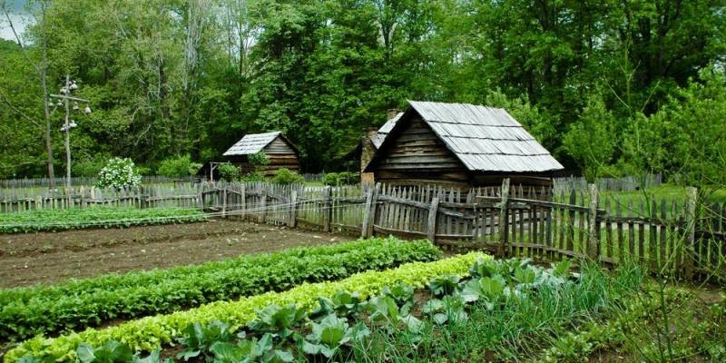 Юристы напомнили дачникам о новых крупных штрафах для дачников РФ Юристы напомнили дачникам о новых крупных штрафах для дачников РФ