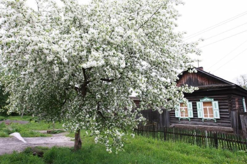 Церковный и народный праздник 20 мая: какой отмечают, традиции, приметы и запреты Церковный и народный праздник 20 мая: какой отмечают, традиции, приметы и запреты