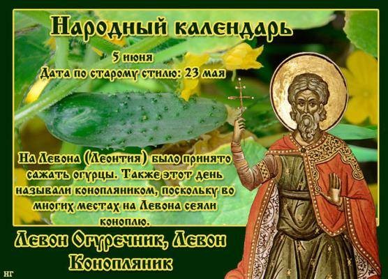 Что можно и нельзя делать в праздник Левона Огуречника или Конопляника 5 июня Что можно и нельзя делать в праздник Левона Огуречника или Конопляника 5 июня
