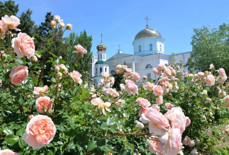 Как православные могут впустить в дом благодать в Духов день