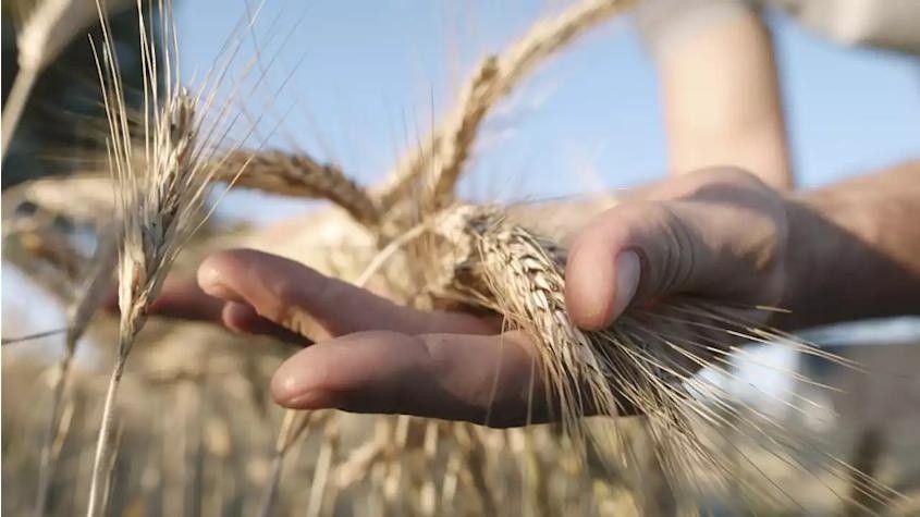 Последние новости России и Украины на сегодня, 17 июня 2022 года: обзор актуальных событий на текущий момент Последние новости России и Украины на сегодня, 17 июня 2022 года: обзор актуальных событий на текущий момент