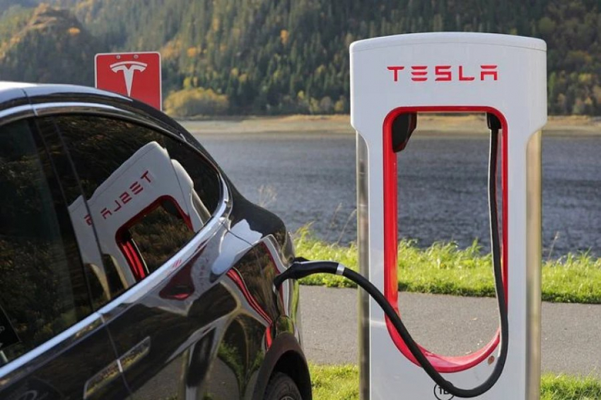 Немецкие правозащитники подали в суд на Tesla