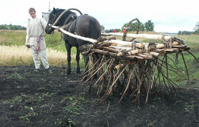 Зачем крестьяне на Евдокимов день 13 августа бороны заговаривали