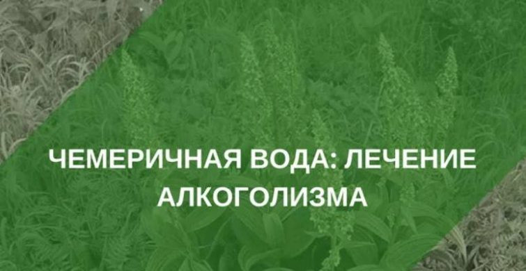 Эффективный метод в борьбе с алкоголизмом. Чемеричная вода спасает человека от смерти