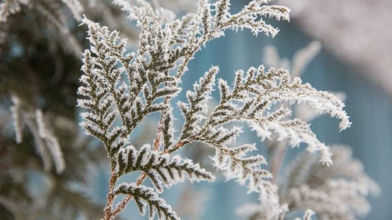 Приметы и поверья на сегодня, 27 ноября 2022 года, подскажут каким будет урожай в предстоящем году