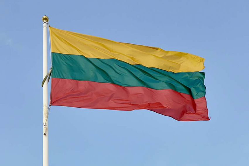 Политолог Стариков объяснил, почему Украина позволила Литве объявить Лободу персоной нон грата