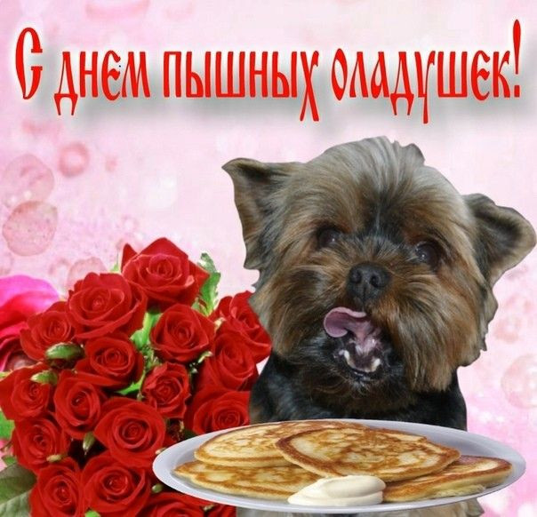 Открытки и вкусные стихи с праздником День оладьев 2 декабря 2022 года: как поздравить близких