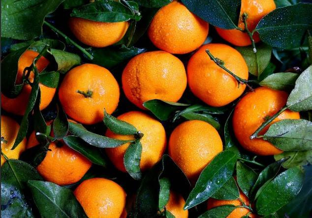 Правда ли, что мандарины с листиками вкуснее? Разбираем популярные мифы и выбираем главный новогодний фрукт