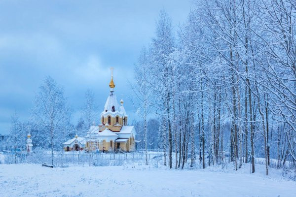 Церковь России 30 декабря 2022 года чтит память исповедника Даниила Ниветского