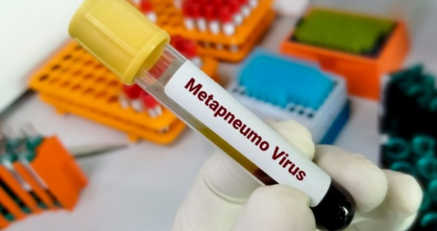 В Роспотребнадзоре метапневмовирус назвали опасной инфекцией: что о нем известно