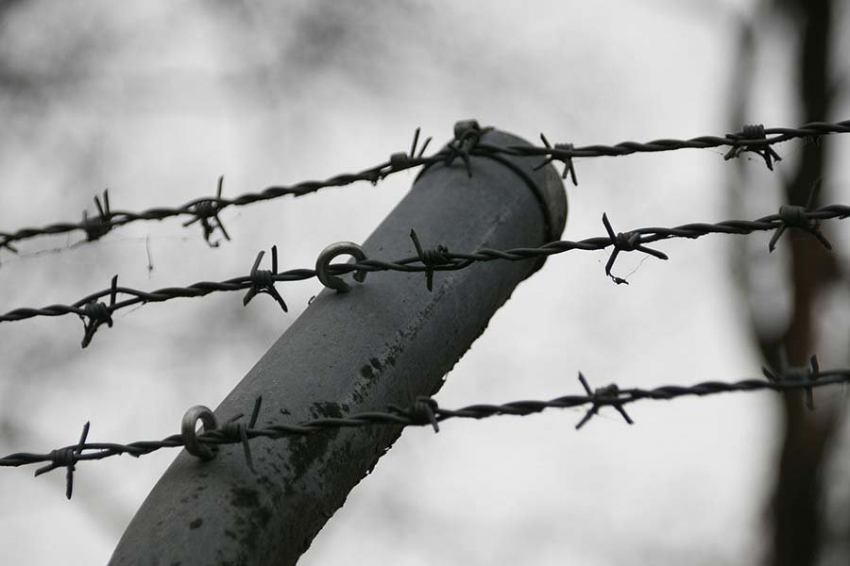 Задержаны корректировщики ВСУ, виновные в гибели красноярских полицейских под Херсоном