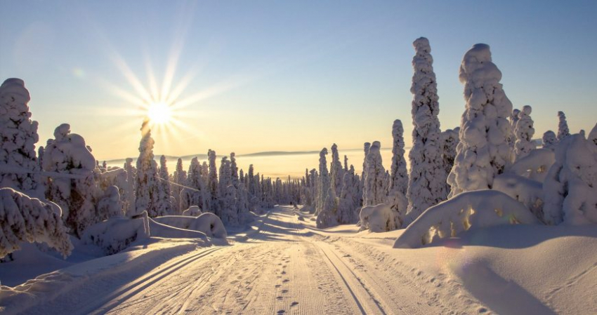 Как правильно загадывать желание в день зимнего солнцестояния 21 декабря 2022 года