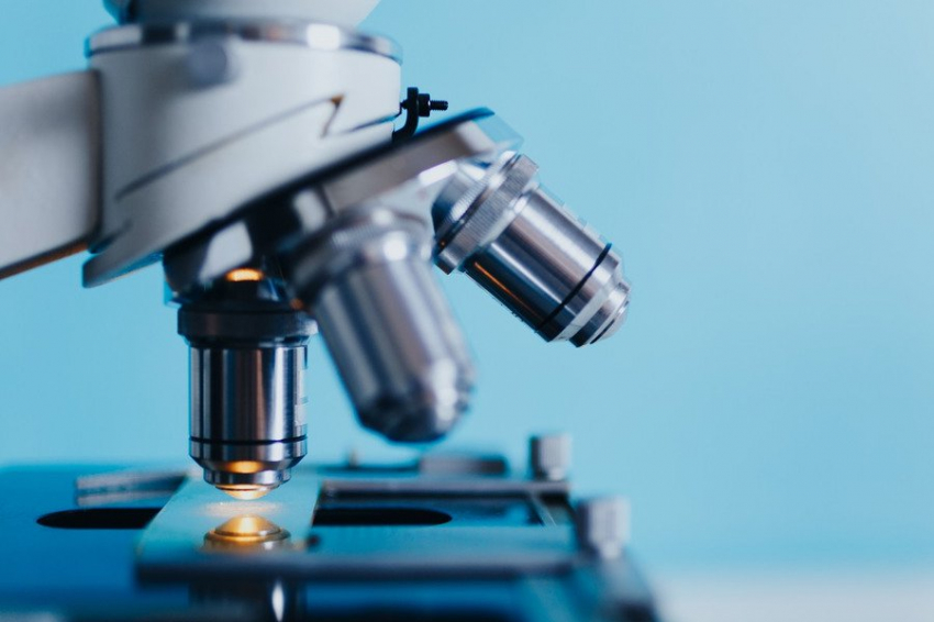 MedicalXpress: учёным удалось перепрограммировать клетки рака у мышей