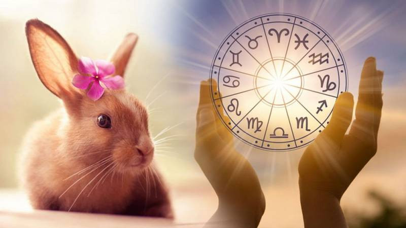 Когда начинается и как отпраздновать 2023 год Кролика по китайскому календарю