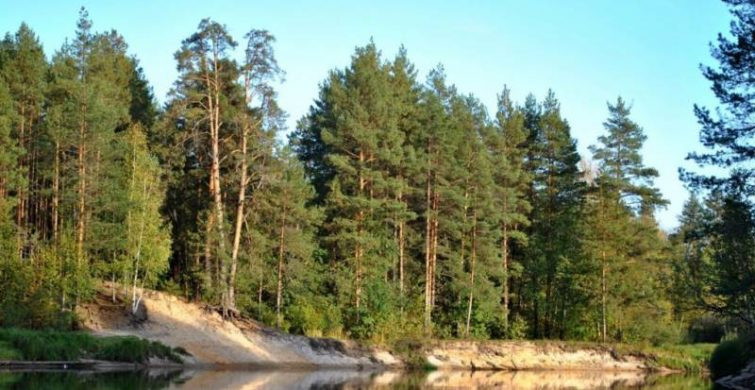 Какой сегодня праздник: 11 января отмечается несколько праздников, какой церковный праздник сегодня, 11.01.2023