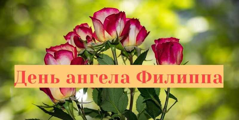 С днем ангела 23 января 2023 года следует поздравить обладателей пяти имен