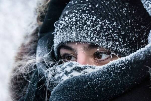 Во всем мире 28 января 2023 года День защиты персональных данных, в народе отмечают Павлов день