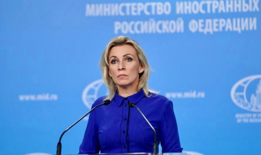 В МИД России прокомментировали задержание Греты Тунберг