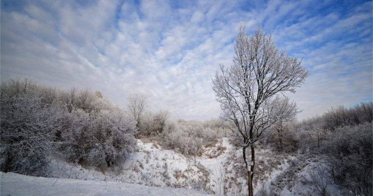 Как на Руси 4 февраля молодицы узнавали характеры будущих мужей
