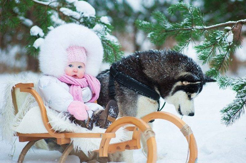 Семен и Анна, Хранитель младенцев прославляются 16 февраля 2023 года